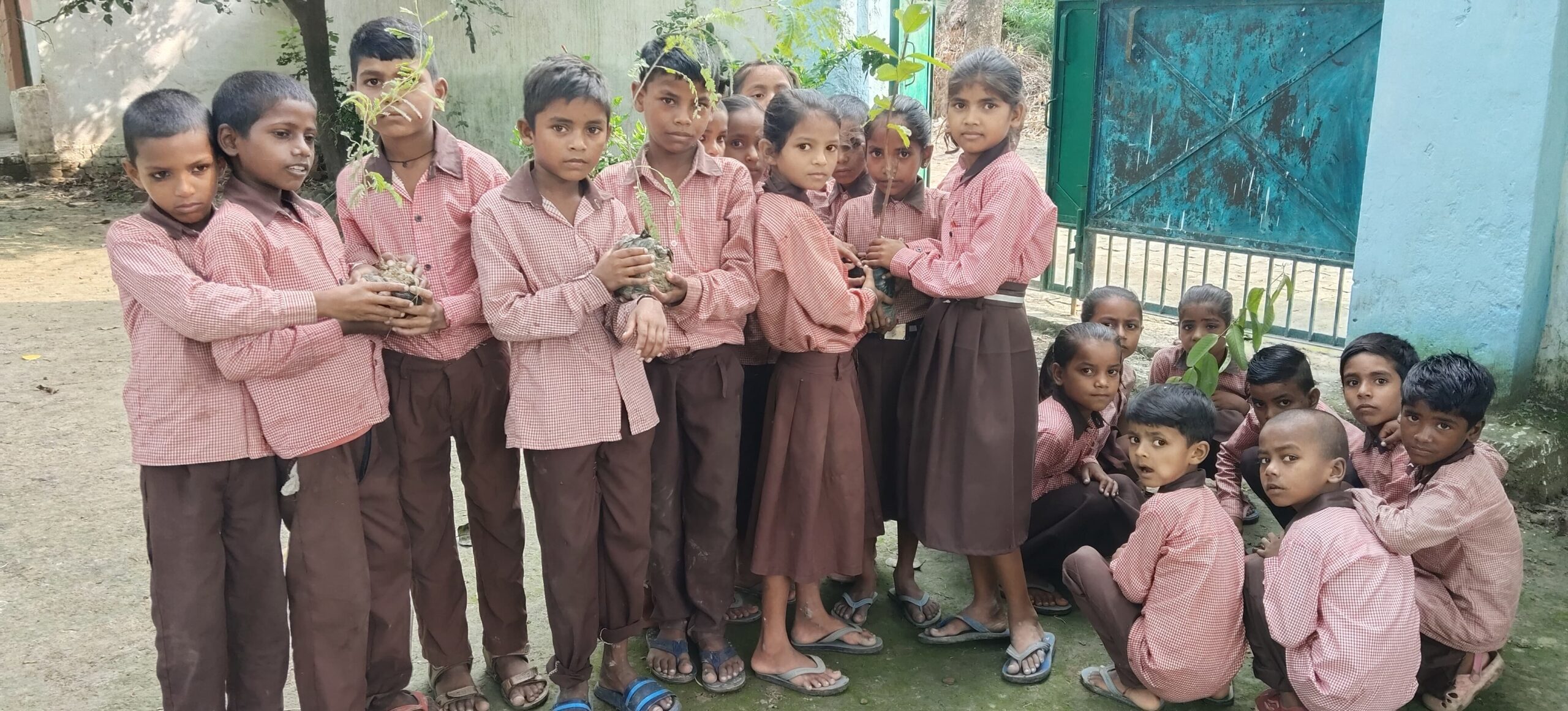 One Student, One Tree Campaign