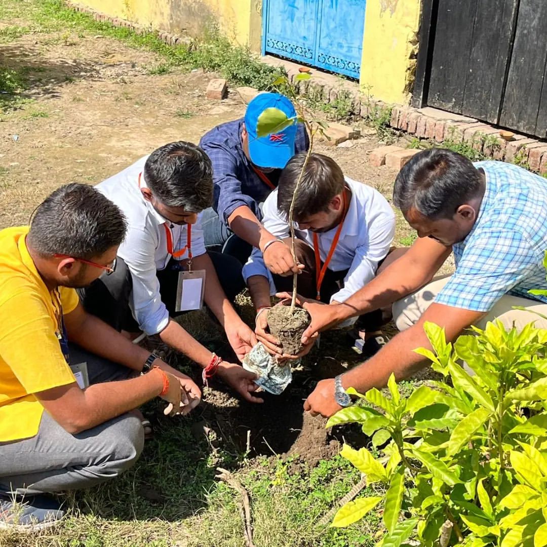 tree-plantation-at-home